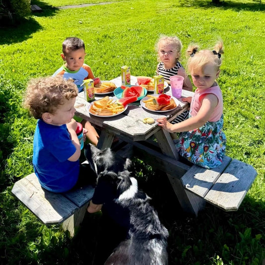Kids Four Seat Picnic Table Plan